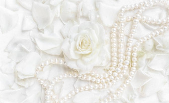 美丽的白色玫瑰花瓣<strong>珍珠项链</strong>白色背景理想的问候卡片婚礼生日情人节一天母亲的一天