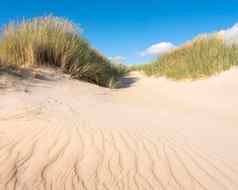 荷兰wadden岛屿废弃的沙子沙丘晚上蓝色的夏天天空荷兰