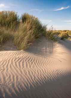 荷兰wadden岛屿废弃的沙子沙丘晚上蓝色的夏天天空荷兰