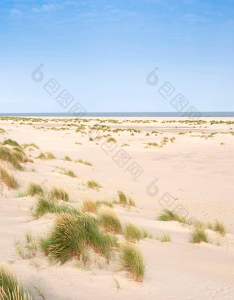 <strong>沙丘</strong>海滩荷兰岛texel<strong>阳光</strong>明媚的一天蓝色的天空