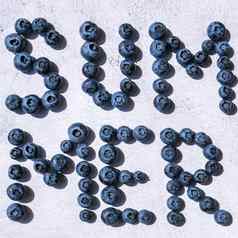 夏天登记排蓝莓水果浆果素食者健康的吃概念夏天文本创建蓝莓超级食物