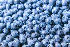 蓝莓水果背景水滴成熟的甜蜜的蓝莓集合蓝色的黑色的浆果概念上的食物图像