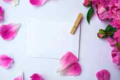 明亮的粉红色的牡丹白色背景夏天花安排背景问候卡纸请注意复制空间概念假期生日情人节一天礼物
