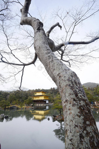 kinkakuji金展馆《京都议定书》