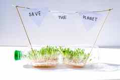 保存地球年轻的绿色植物塑料瓶生态环境谈话地球一天概念全球污染地球幼苗