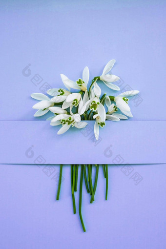 作文雪花莲花颜色背景有创意的布局使雪花莲花明亮的蓝色的背景平躺春天最小的概念