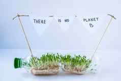 地球年轻的绿色植物塑料瓶生态环境谈话地球一天概念全球污染地球幼苗