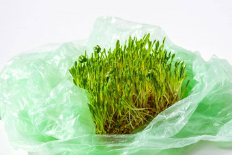 年轻的绿色植物塑料袋生态环境概念地球一天概念全球污染地球幼苗