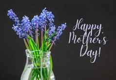 快乐母亲一天花束蓝色的muscari黑色的背景春天球根状的花花商店概念