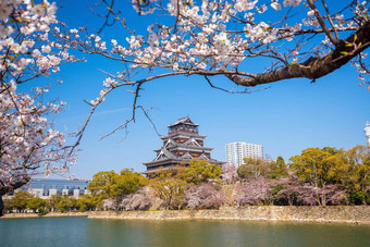 广岛城堡樱桃开花季节