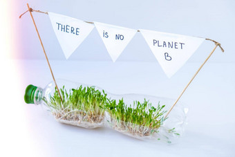 地球年轻的绿色植物塑料瓶生态环境谈话地球一天概念全球污染地球<strong>幼苗</strong>