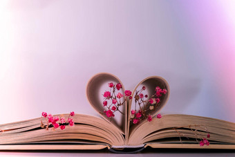 书页面折叠心粉红色的花软焦点深思熟虑的轻微的模糊精致的粉红色的满天星花慢生活概念团结自然爱