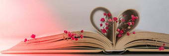 书页面折叠心粉红色的花软焦点深思熟虑的轻微的模糊精致的粉红色的<strong>满天</strong>星花慢生活概念团结自然爱