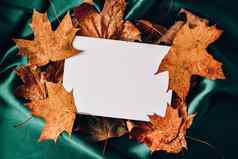 模拟打字背景绿色颜色丝绸布秋天叶子白色纸秋天叶子平躺作文问候卡片季节图像