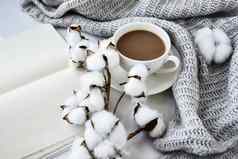杯咖啡棉花植物笔记本肉桂棒茴香明星白色背景毛衣冬天早....例程咖啡打破复制空间