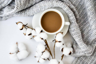 杯咖啡棉花植物肉桂棒茴香明星白色背景毛衣冬天早....例程咖啡打破复制空间前视图平躺