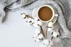 杯咖啡棉花植物肉桂棒茴香明星白色背景毛衣冬天早....例程咖啡打破复制空间前视图平躺