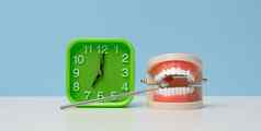 绿色报警时钟塑料模型人类下巴白色牙齿医疗检查镜子白色表格早....牙齿清洁