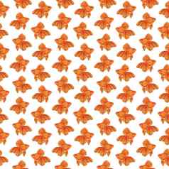 数字插图橙色详细的水族馆金鱼无缝的模式白色孤立的背景