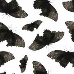 无缝的模式黑色的蝴蝶白色背景数字纸黑色的蛾