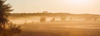 灰尘日落<strong>风景</strong>卡加拉加迪在<strong>国外</strong>做的公园南非洲