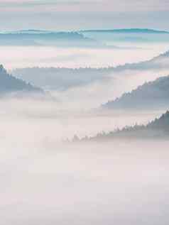 空中视图有雾的森林阴霾日出山