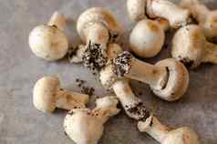 新鲜收获脏蘑菇传播纸生健康的蔬菜
