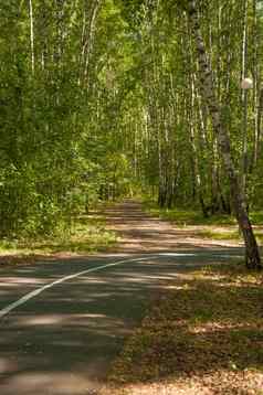 自行车运行路径夏天森林白色路标记人行道上