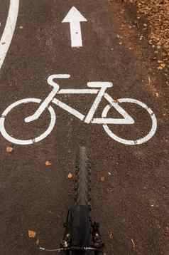 自行车路径城市公园自行车路径标志沥青