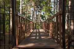 木桥楼梯森林楼梯木人行桥公园冒险探索概念
