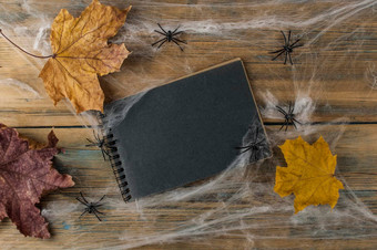 开放笔记本空白黑色的页面蜘蛛网络黑色的蜘蛛木背景前视图复制空间文本