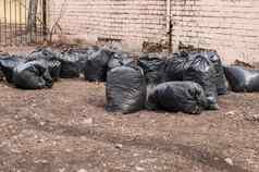 堆垃圾塑料袋花园污染垃圾袋浪费堆栈浪费袋塑料垃圾浪费袋塑料黑色的桩垃圾袋