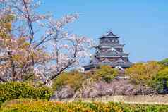 广岛城堡樱桃开花季节日本一天时间