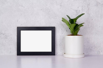 模型黑色的框架水平植物能表格前首页模拟海报演讲设计画廊照片图片边境模板装饰广告