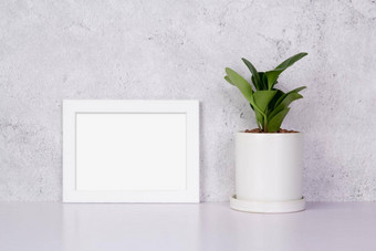 模型白色框架水平植物能表格前首页模拟海报演讲设计画廊照片图片边境模板装饰广告