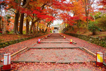 日本寺庙入口