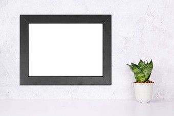 模型黑色的框架水平墙植物能表格前首页模拟海报演讲桌子上设计画廊照片图片边境模板广告