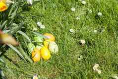 彩色的复活节鸡蛋隐藏的花草