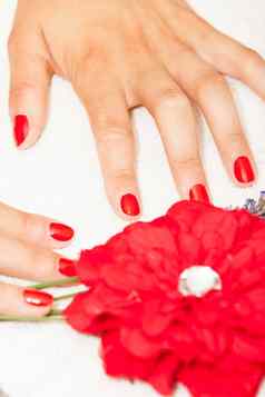 手女人红色的指甲波兰的构成美学家