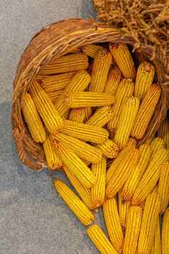 玉米玉米篮子