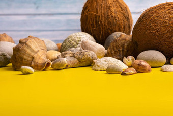 椰子岩石贝壳蓝色的木背景黄色的背景海洋主题