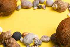 椰子岩石贝壳黄色的背景海洋主题