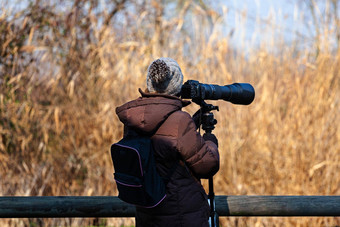 鸟摄影师照片相机长焦