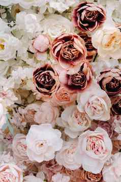 特写镜头婚礼花背景粉红色的白色玫瑰