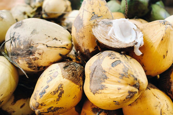 黄色的椰子出售市场岛毛里求斯减少年轻的椰子makoto椰子市场