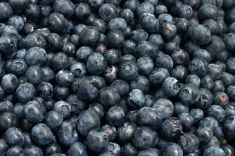 新鲜<strong>的</strong>蓝莓纹理蓝莓浆果关闭