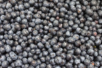 新鲜的蓝莓纹理蓝莓浆果关闭