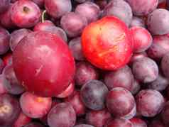 新鲜的成熟的李子表格市场有机红色的李子水果桩当地的农民市场李子背景