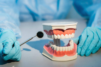 牙科医生穿蓝色的手套面具持有牙科模型上较低的大白鲨牙科镜子