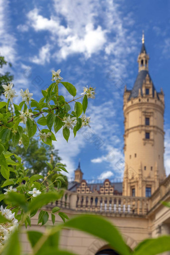 Schwerin德国前景视图开花树模糊背景Schwerin城堡